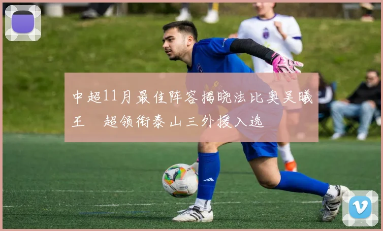 中超11月最佳阵容揭晓法比奥吴曦王燊超领衔泰山三外援入选