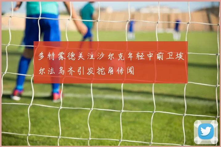 多特蒙德关注沙尔克年轻中前卫埃尔法乌齐引发挖角传闻