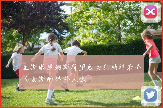 里斯威廉姆斯有望成为科纳特和乔戈麦斯的替补人选