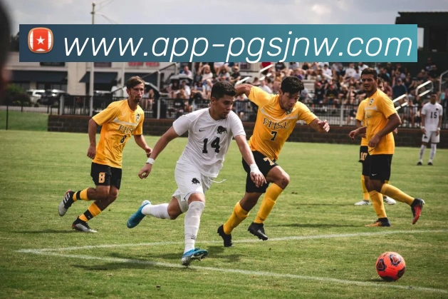 App Interface Preview